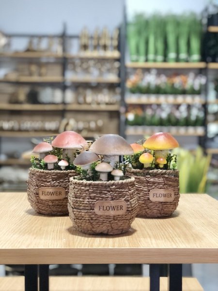 قوارة فطر اصطناعي