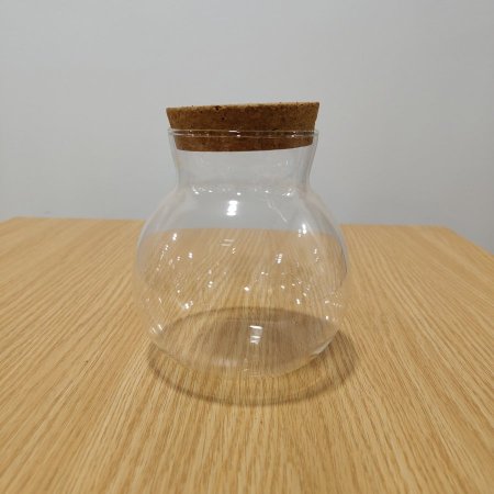 علبة زجاجية