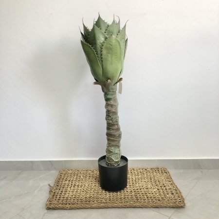 شجرة يوكا اصطناعية