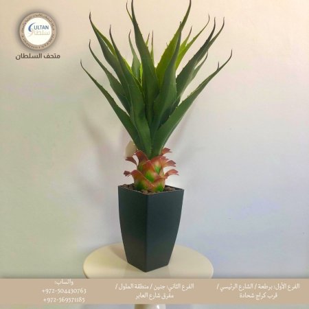 شجرة ألوفيرا صناعية حجم وسط