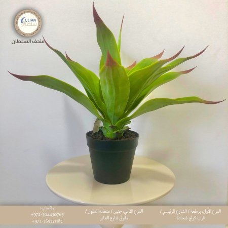 شجرة صناعية حجم وسط