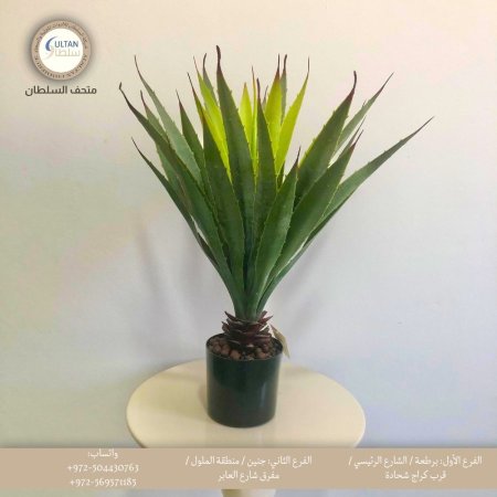 شجرة ألوفيرا صناعية حجم وسط