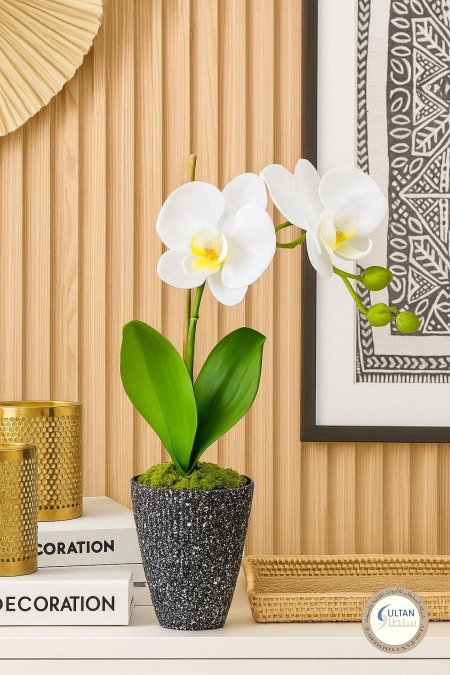 وردة اوركيد سحلب